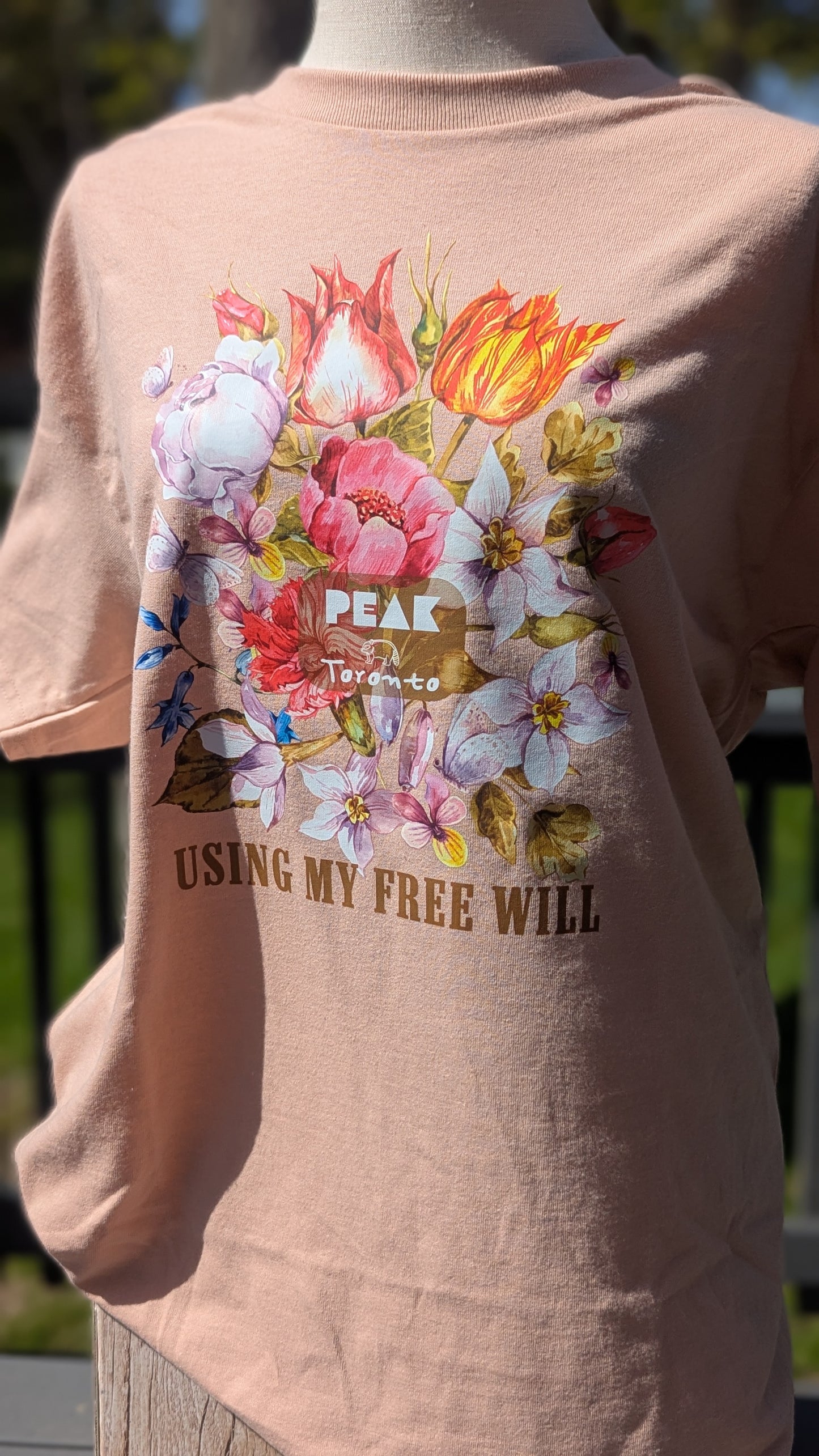 Free Will