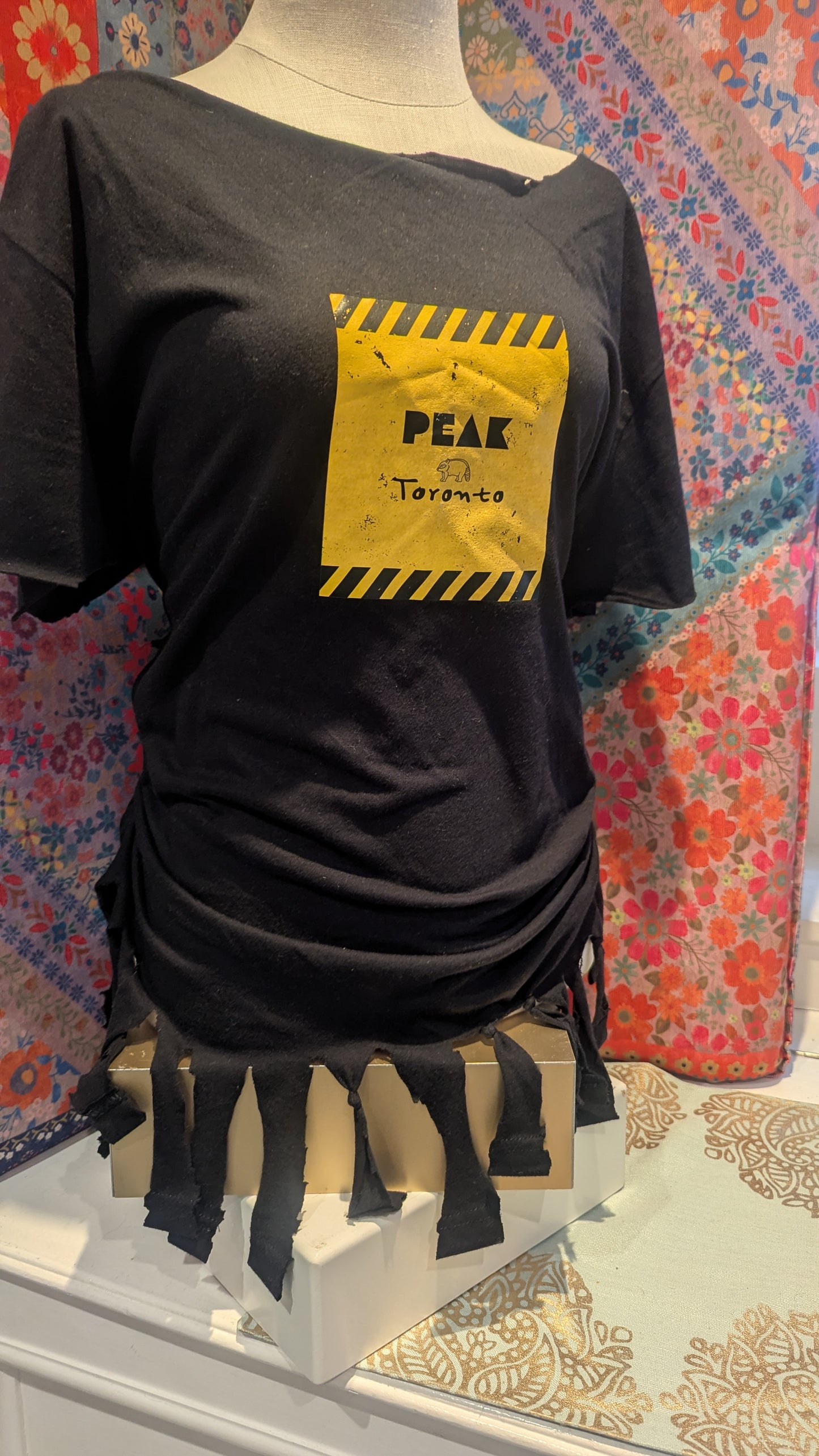 Punk Toronto