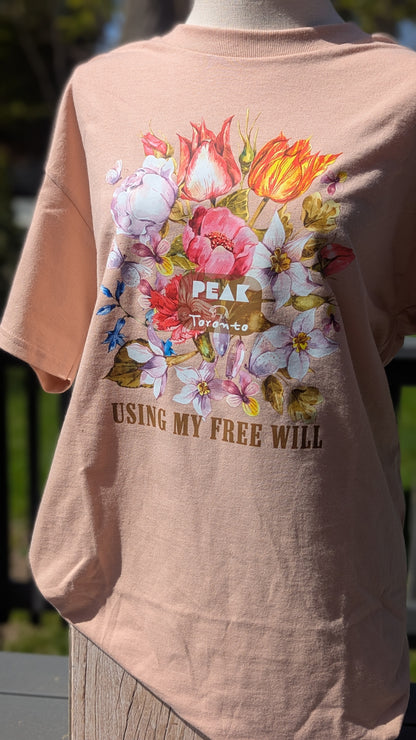 Free Will