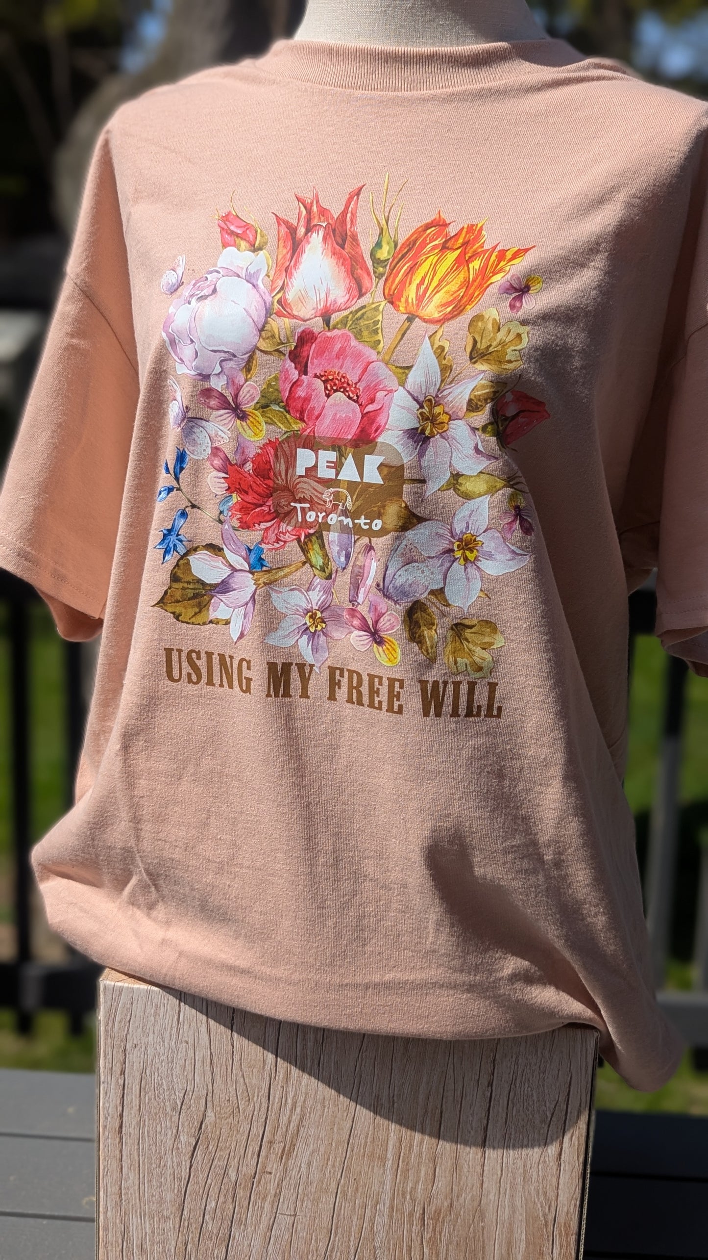 Free Will
